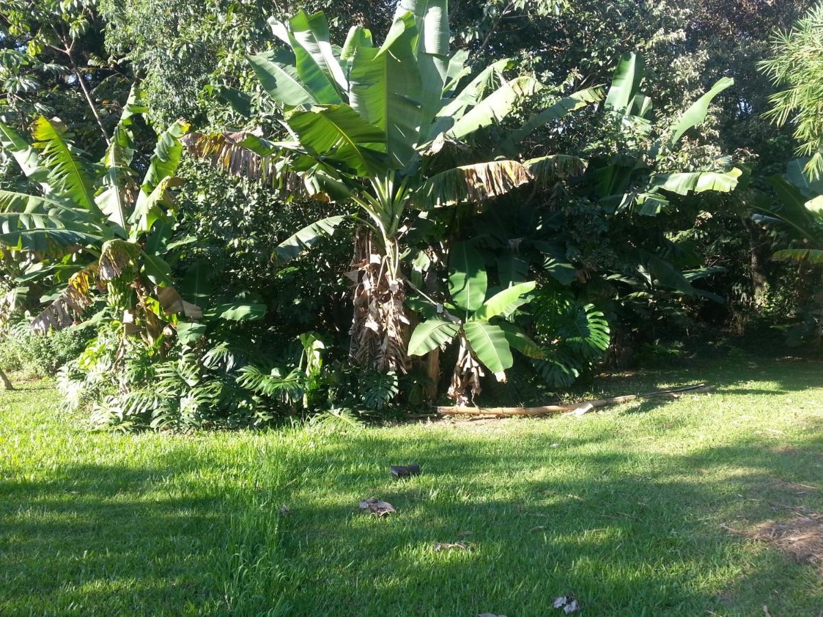 Amigos Puerto Iguazu Exterior photo